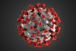 The Rise of Pandemics: Are humans to blame?