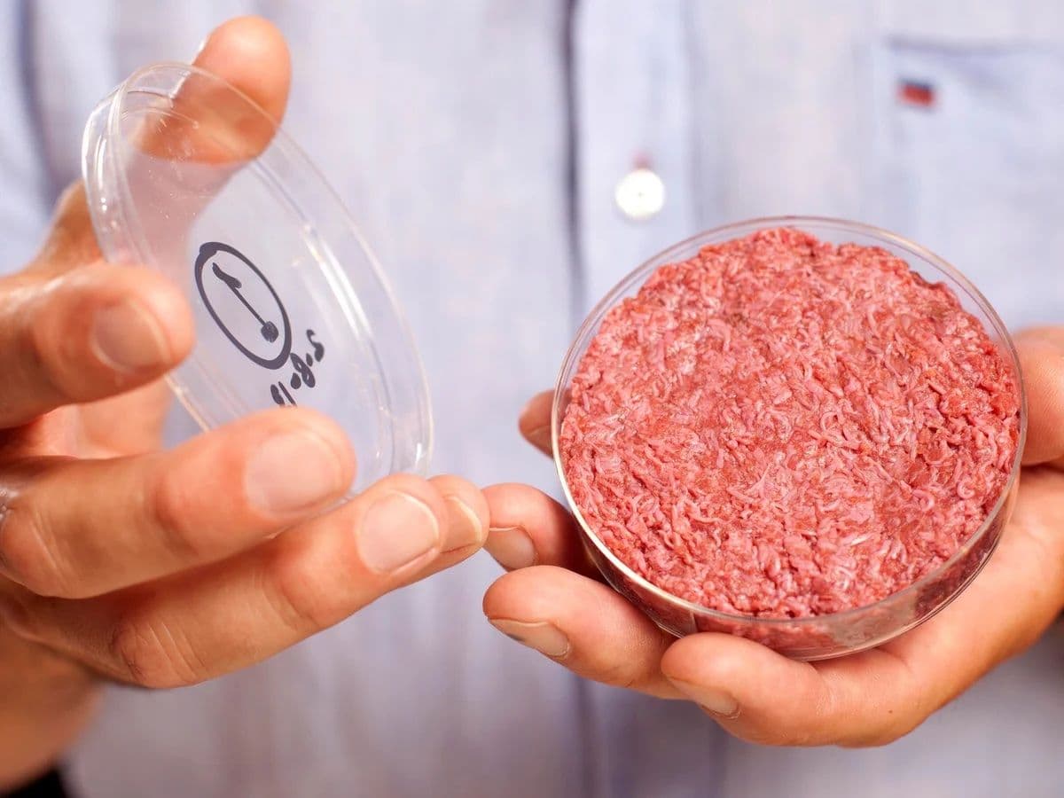 Will cultivated meat match conventional meat prices by 2030?